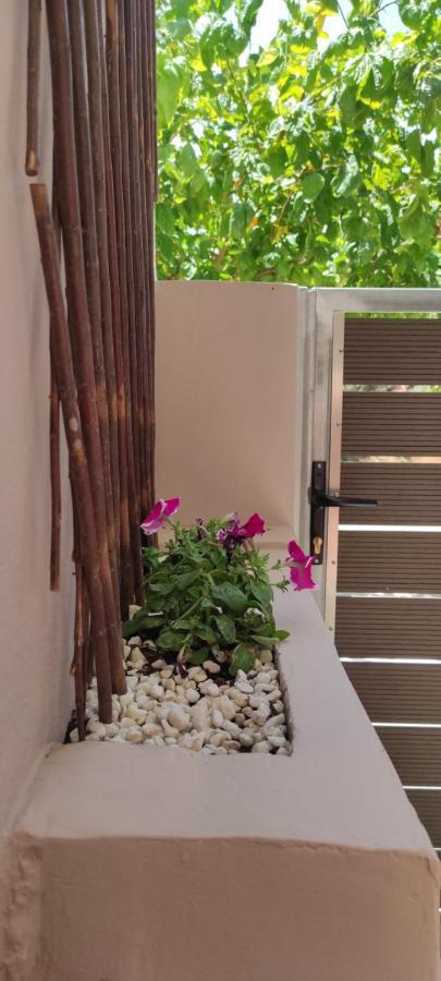 New Apartment 1.5Km From The City Center Of Chania Χανιά Εξωτερικό φωτογραφία